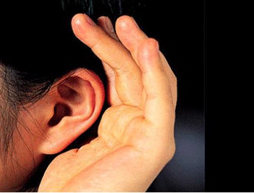   耳朵是如何听辩声音的